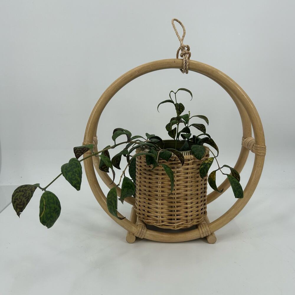 Rattan Hanging Planter Bentwood Wicker Basket MCM Plant Holder Organic Modern - Picture 2 of 4